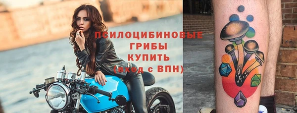 эйфоретик Армянск