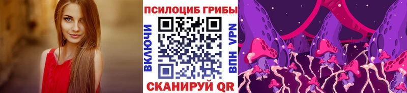 Псилоцибиновые грибы MAGIC MUSHROOMS  как найти закладки  Ленинск 