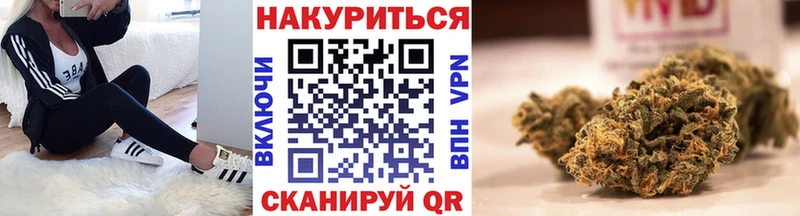 гидра как зайти  купить наркотики цена  Ленинск  Марихуана сатива 
